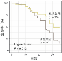 図２. 札幌集団は低温（１℃）環境下でも長く生きる。