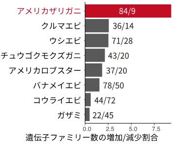 図３. 急速に進化した遺伝子ファミリー（進化過程で繰り返し重複してできた類似遺伝子群）数の甲殻類種間での比較。図中の数字は増加／減少した遺伝子ファミリー数を示す。