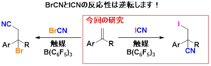 図１．研究概要