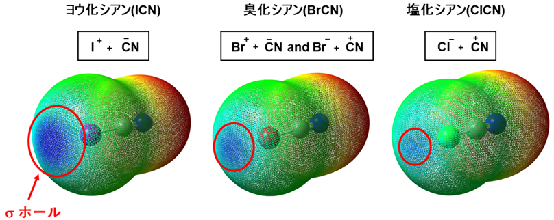 図３．ハロゲン化シアン上に形成されるσ‐ホールの比較