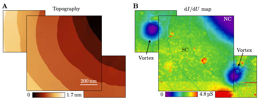 図３：第一種超伝導の「鉛」の表面での(A)STM形状像と(B)同じ場所ではかった電子分光像。