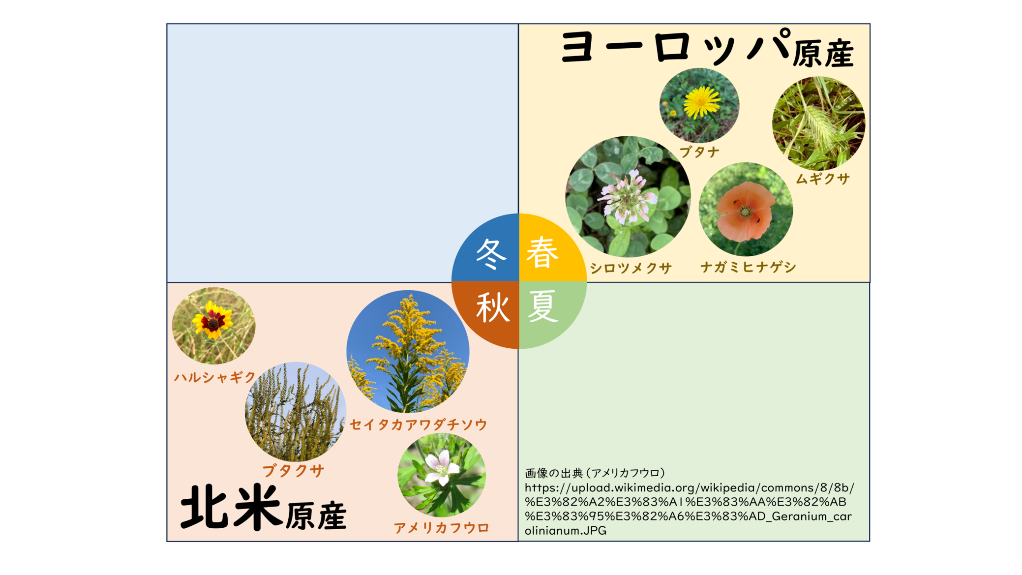 2816 西ドイツ 社会福祉 牧草地の野草の花 4種完 1977年 2816