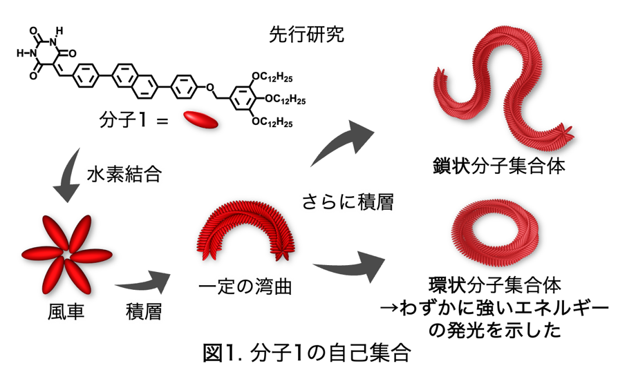 リングはよく光る！分子集合体の「形」と「発光特性」の関係を