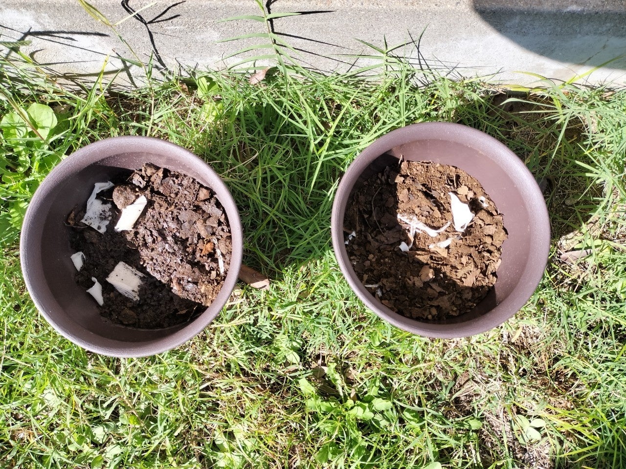 西千葉キャンパス内での実験の様子