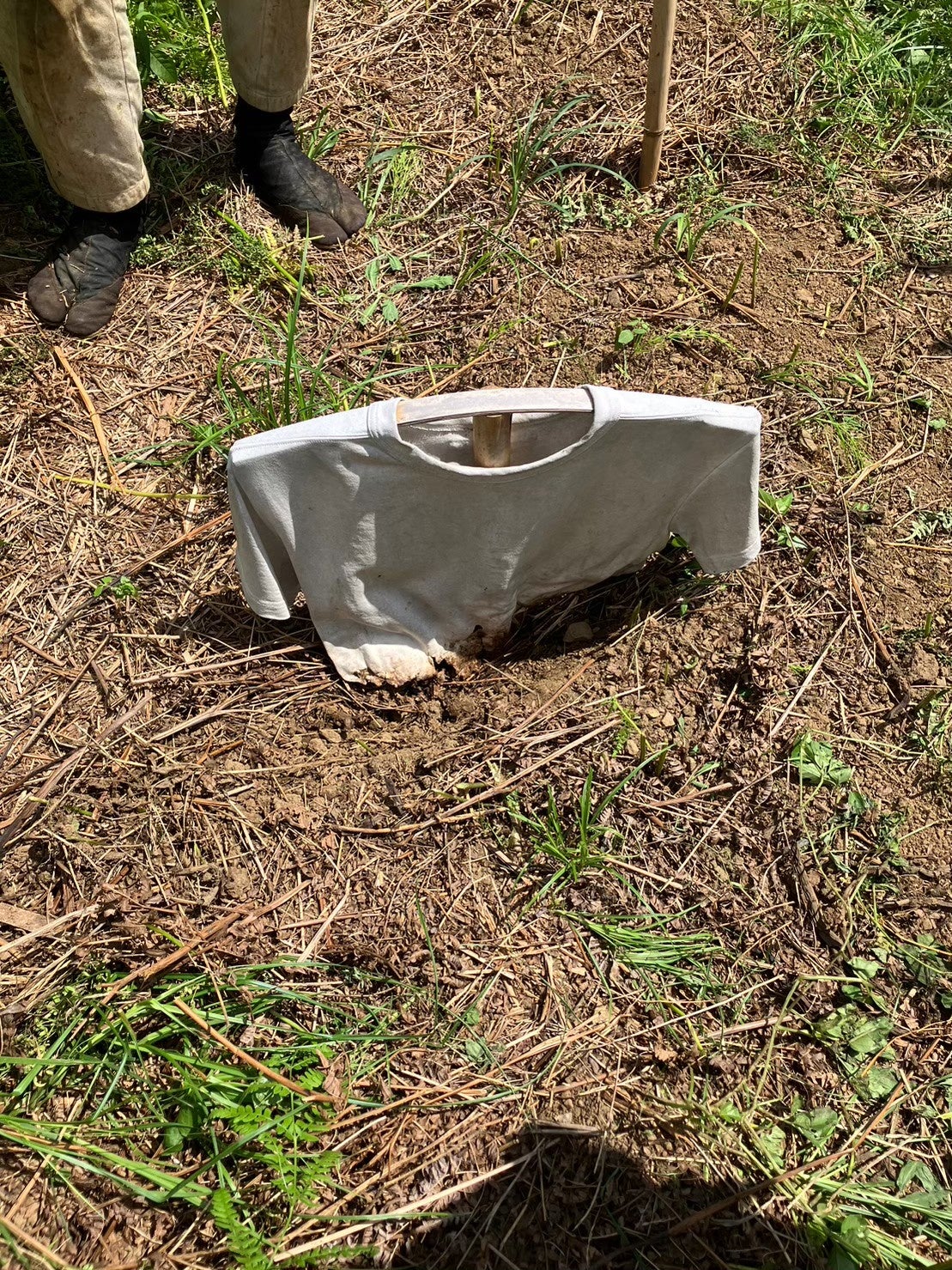 Syncs.Earthの畑にて