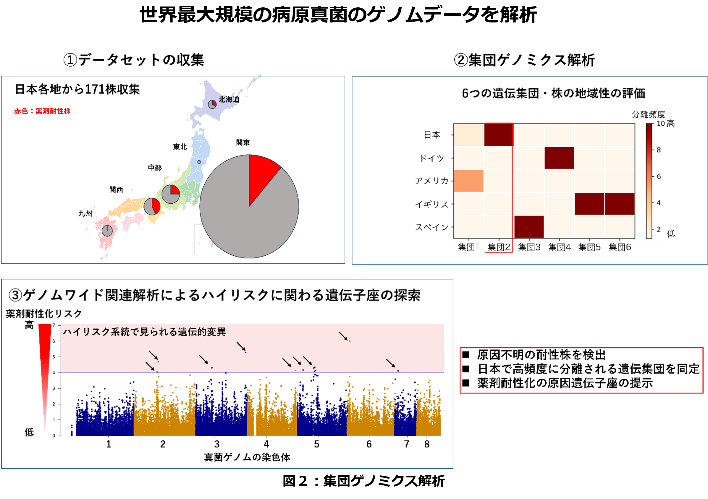伝染性疾患予防の原理 慢性活動性EBウイルス感染症を対象としたJAK1/2阻害剤