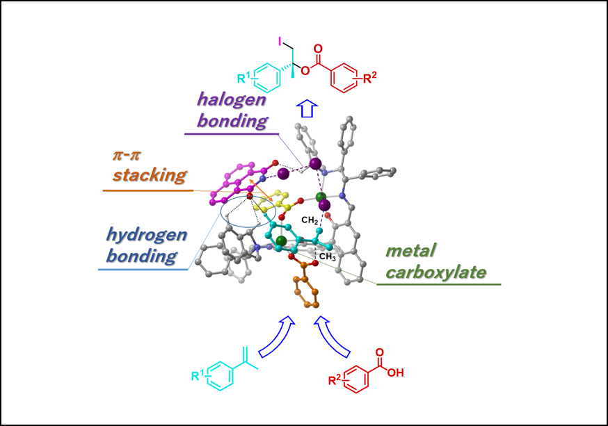 荒井研究室が開発した触媒的不斉ヨードエステル化の概念図