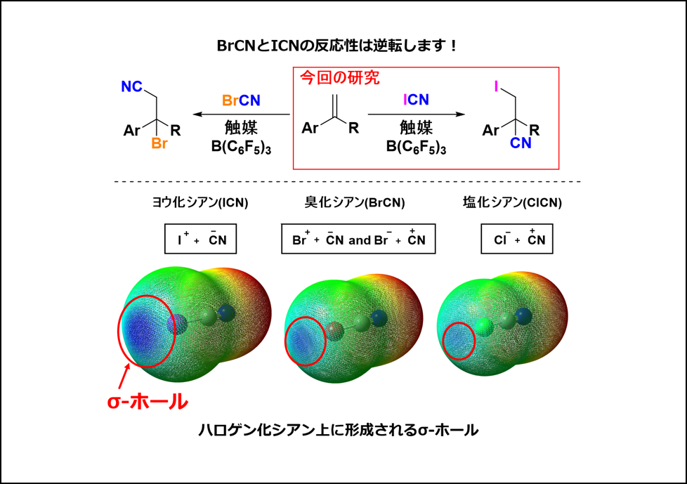 荒井研究室が成功させたヨウ素とニトリルの 有機化合物への同時導入の概念図