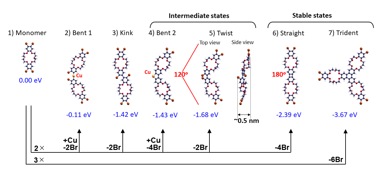 図４：理論計算による多様な分子結合。中間状態twist構造を使うことでランダムネットワーク構築。