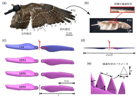 自然界の静音設計をドローンへ~フクロウの翼に学ぶ新技術~ | 国立大学法人千葉大学のプレスリリース