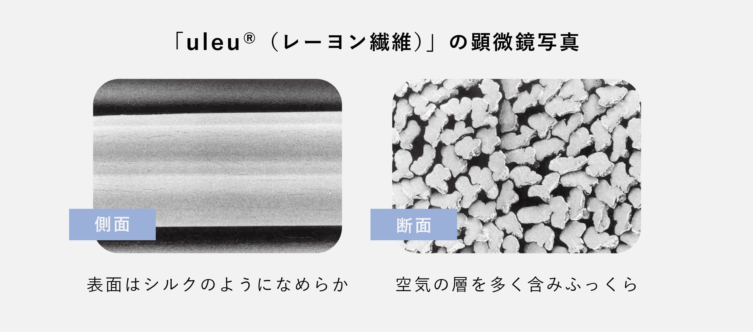コラーゲン繊維融合の今治スキンケアタオル「HADAOL(ハダオル