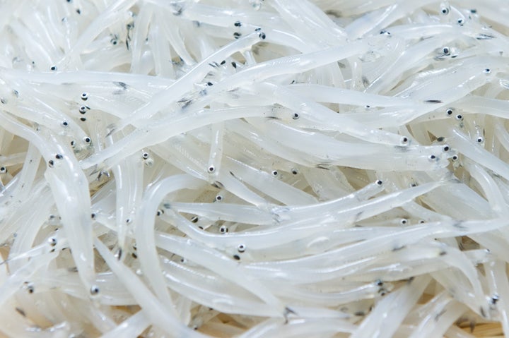 獲れたての透明感を保った凍結生シラウオ「霞ヶ浦 暁のしらうお」誕生・販売開始 | 株式会社文化メディアワークスのプレスリリース