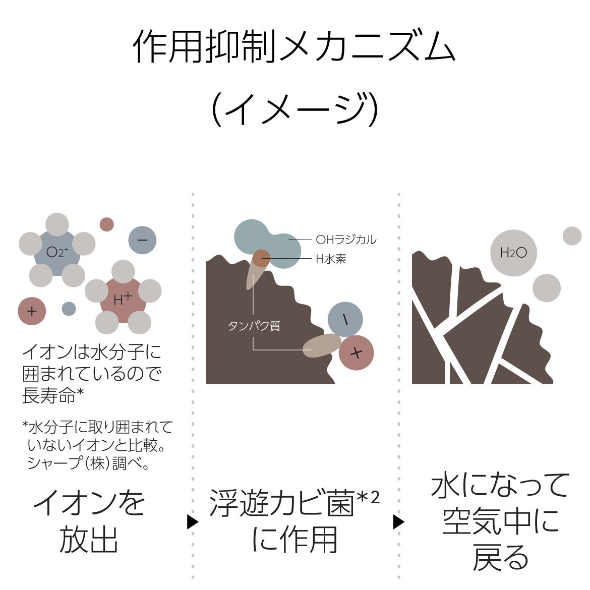 作用メカニズム(イメージ)