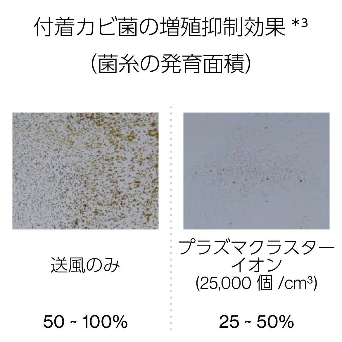 付着カビ菌の増殖抑制効果