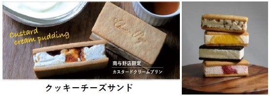 2023年春、JR埼京線南与野～与野本町駅間にチーズ好き女子3
