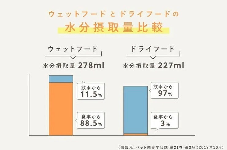 ウェットフードとドライフードの水分摂取量比較