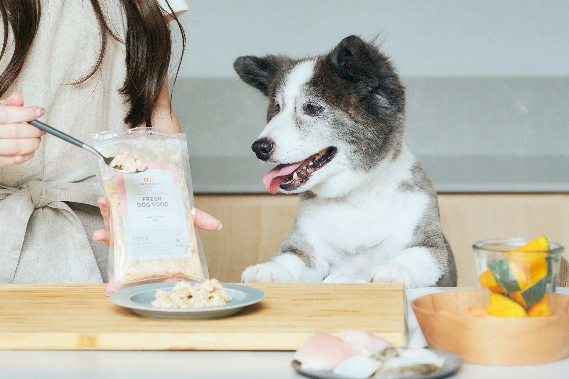 PETOKOTO FOODS for DOGS