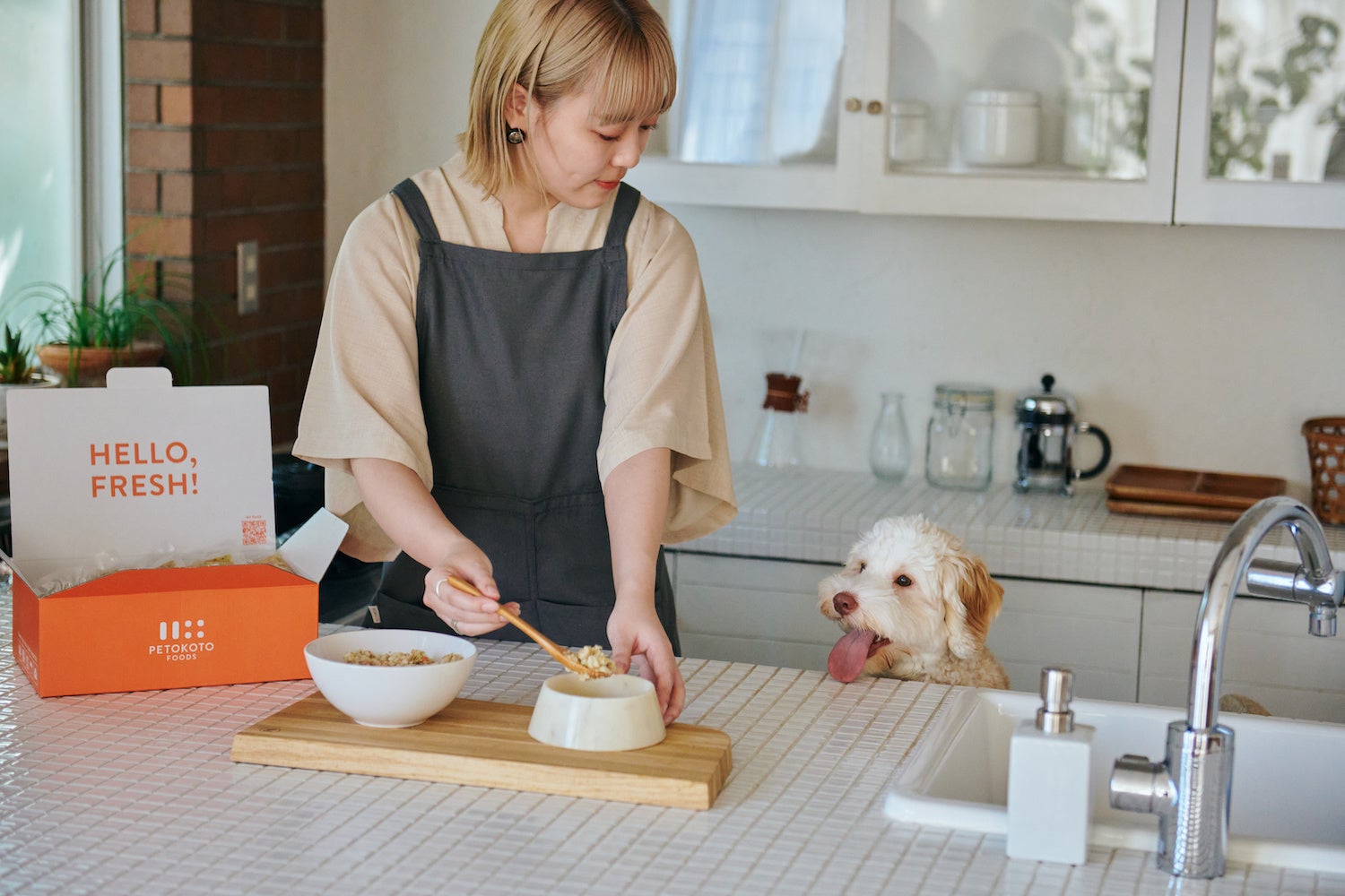 ペトコトフーズ