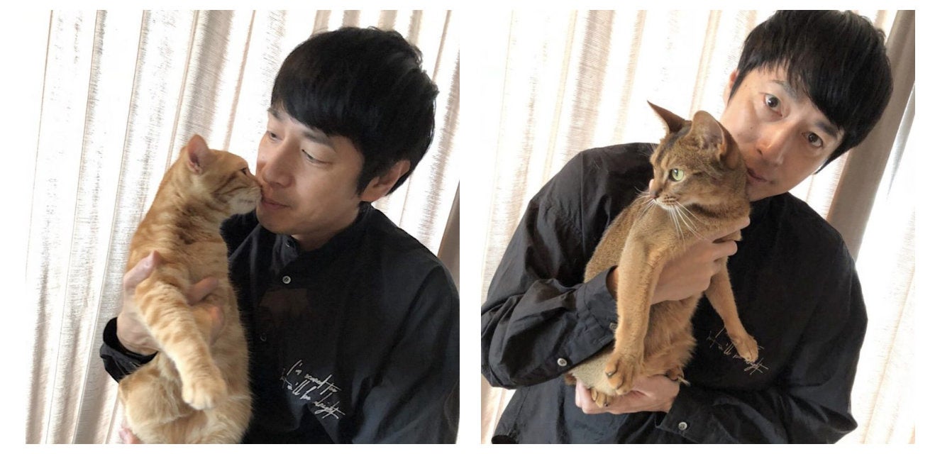 Petokoto Foods がフレッシュキャットフード開発をスタート ニャドバイザーを募集し 猫 のための理想のごはんを追求 Petokoto ペトコト のプレスリリース Petokoto Foods がフレッシュキャットフード開発をスタート ニャドバイザーを募集し 猫 のための理想のごはんを追求 Petokoto ペトコト のプレスリリース