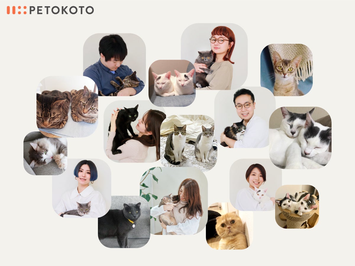 PETOKOTOスタッフと社員猫
