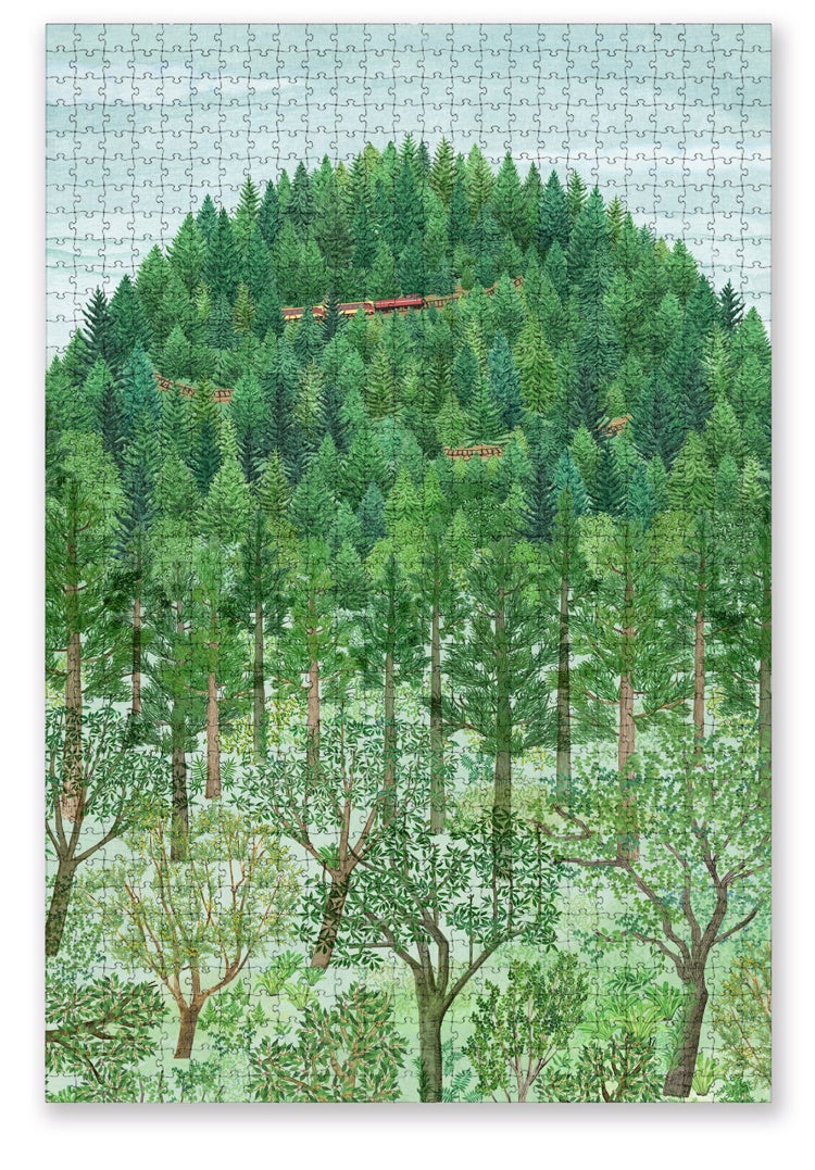 Seed Design  イラストパズル