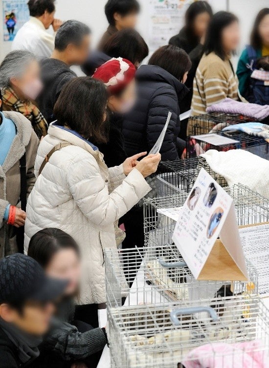 【名古屋市】 全国初の官・民・ボランティアが共創した保護犬・保護猫の大型譲渡会「わんにゃん出逢いフェス」を実施