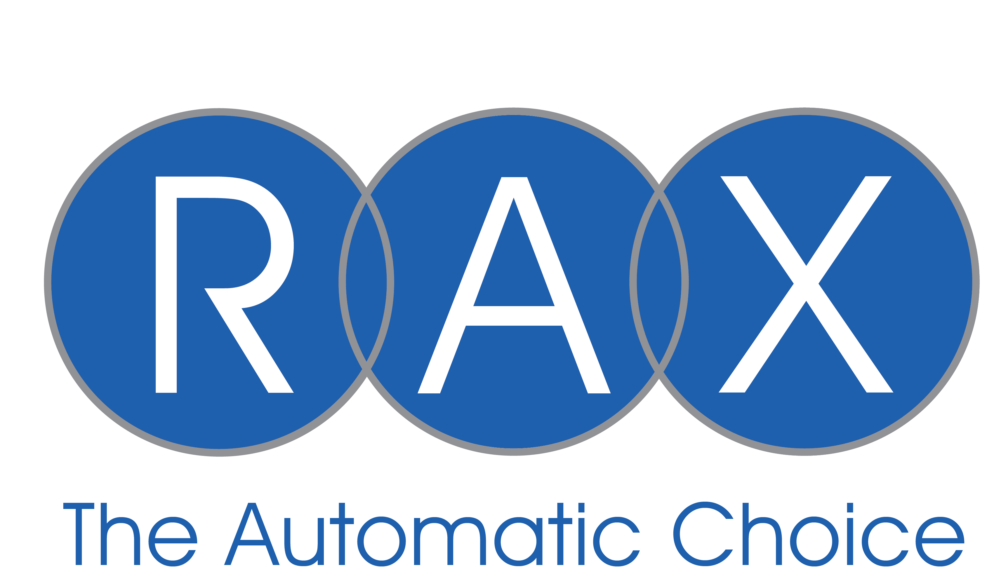 RAXグループについて