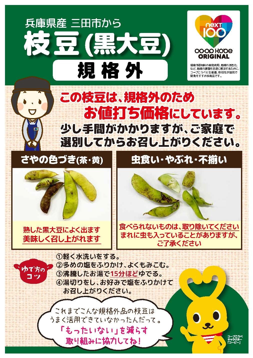 規格外品であることをお知らせするチラシ
