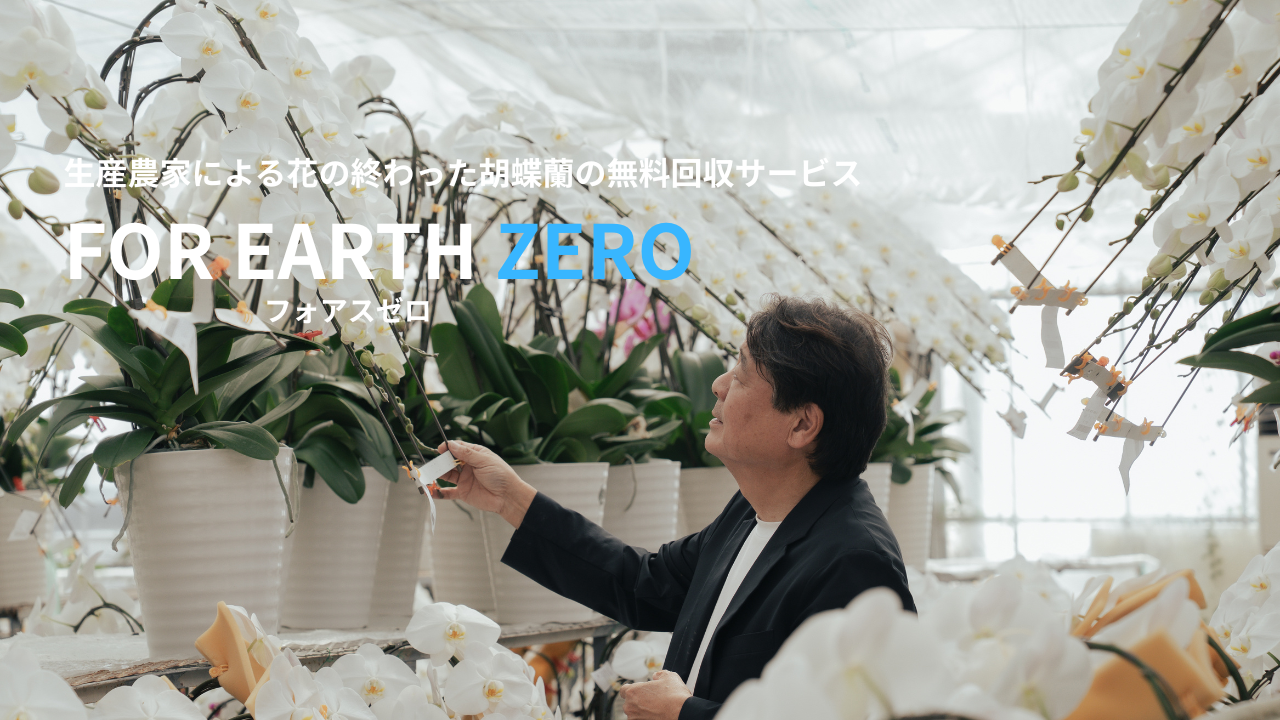 生産農家による花の終わった胡蝶蘭の無料回収サービス「フォアスゼロ