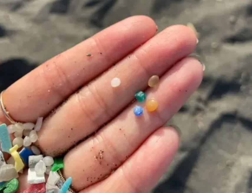 茅ヶ崎発 “マイクロプラスチック問題”をもっと身近に。 観光・環境・地元をめぐる、新しい地域循環プロジェクトを開催。