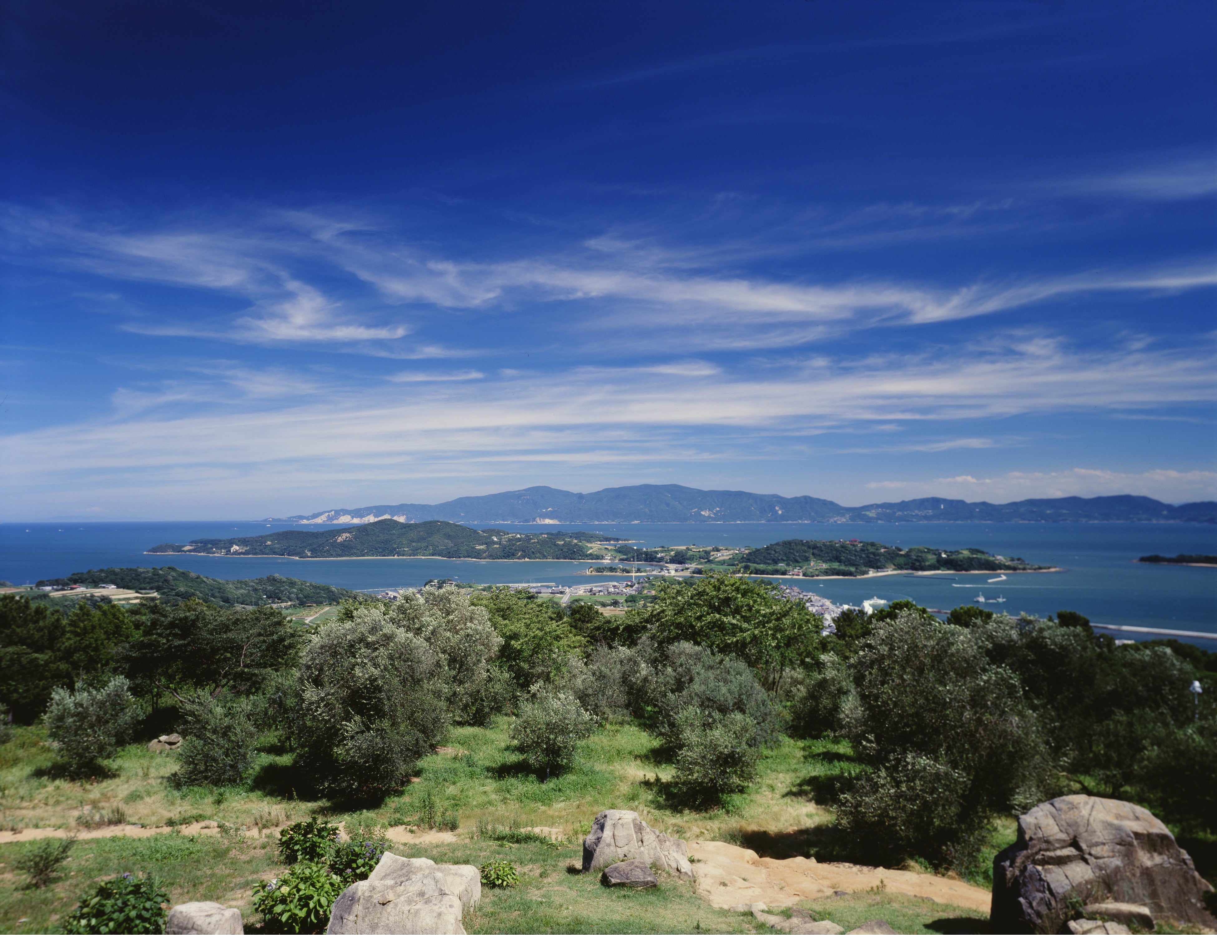 牛窓オリーブ園