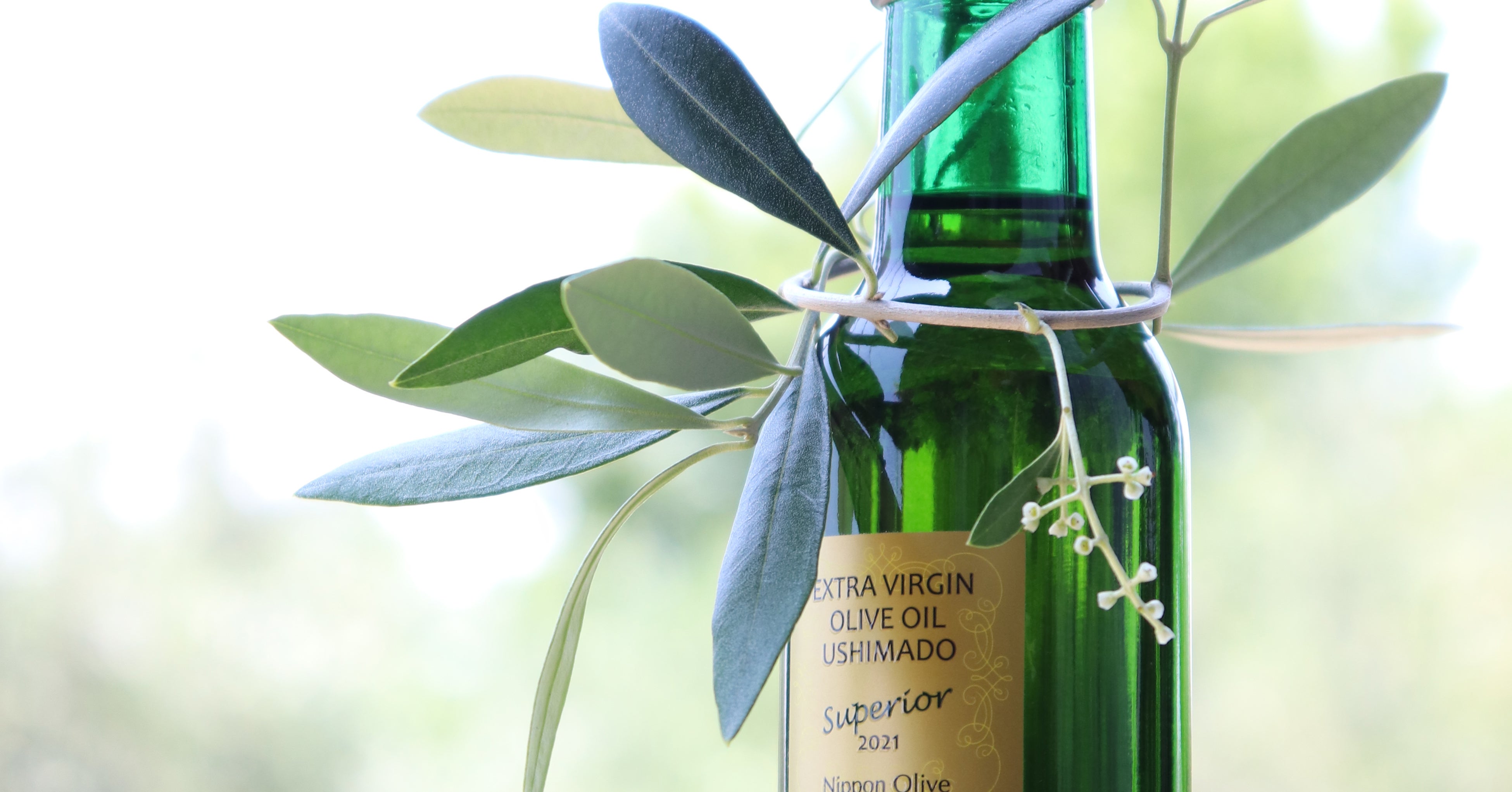 4冠達成スペリオルTOP