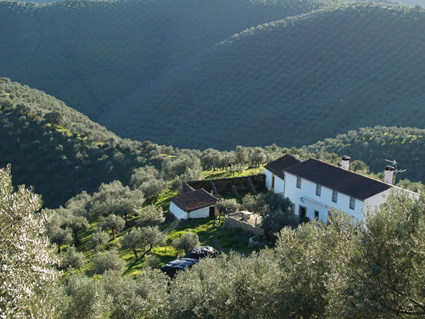 ロス・ペドロチェス渓谷