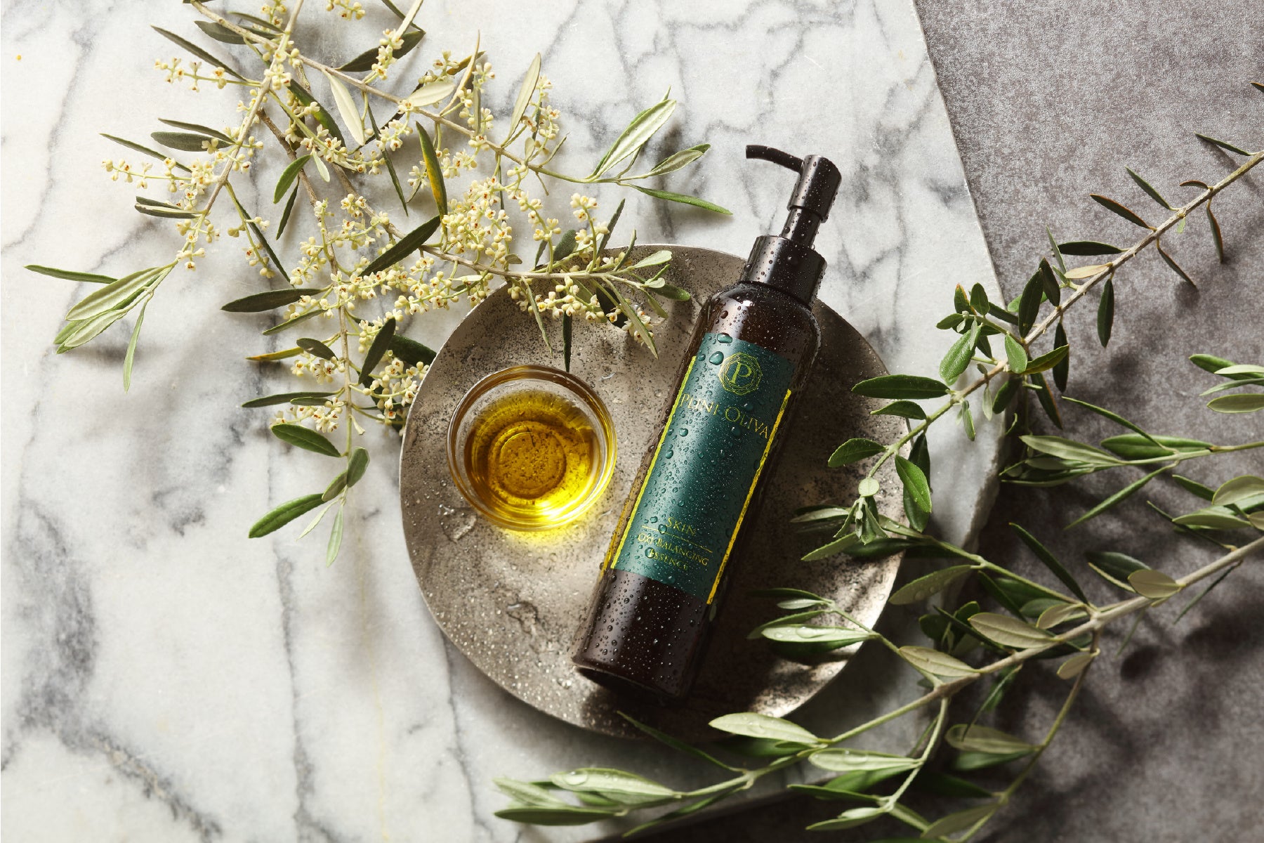 プリニオリーバイメージ