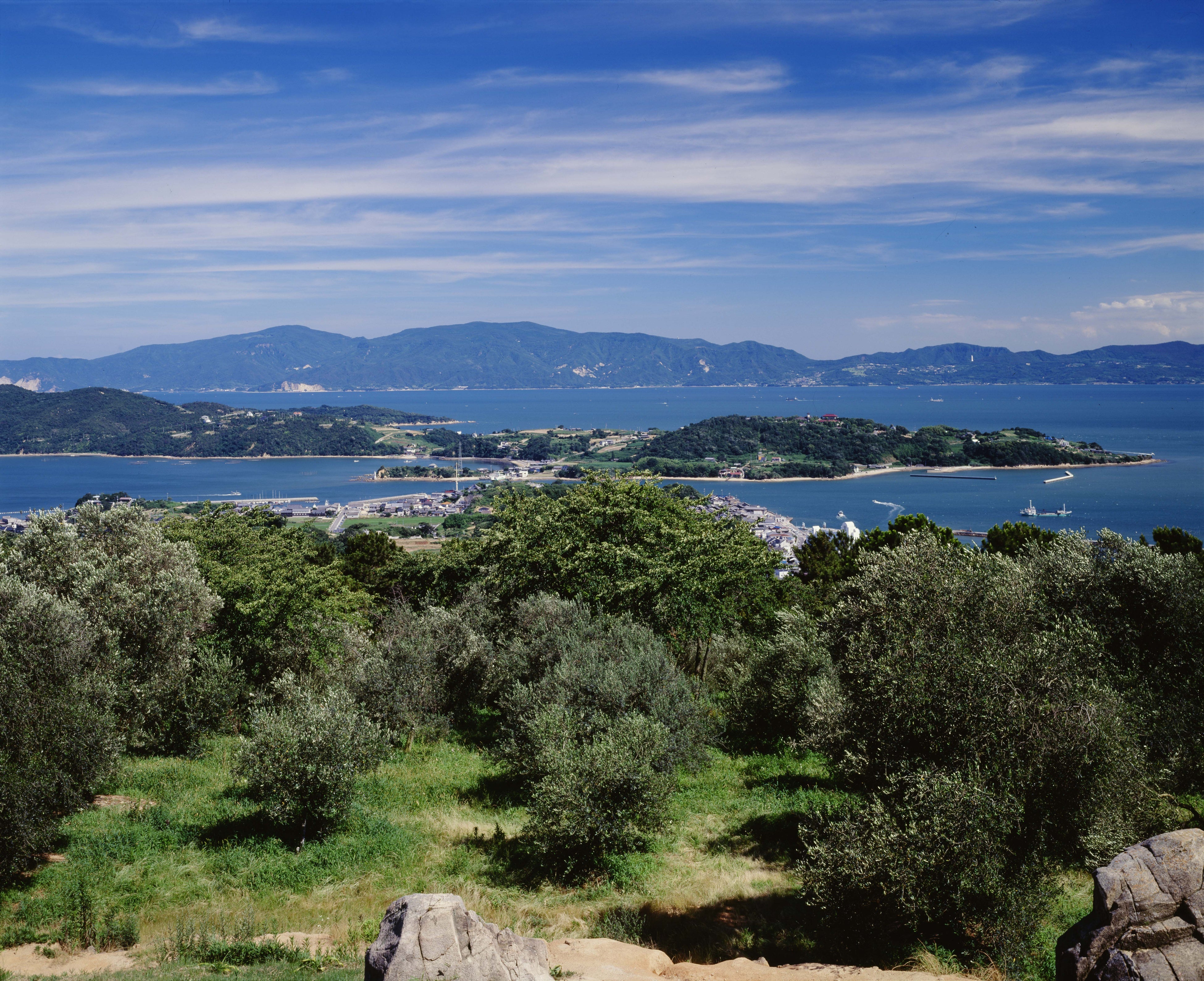 牛窓オリーブ園