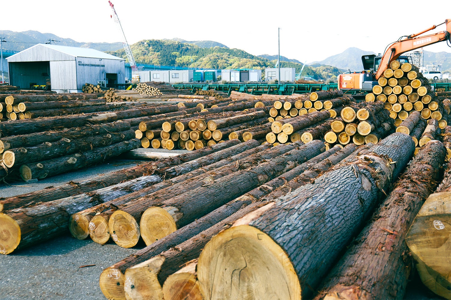 杢美(MOKUHARU)⸻「木の輪が人の輪になる」紀州ヒノキと鉄が調和するオリジナルベンチ誕生