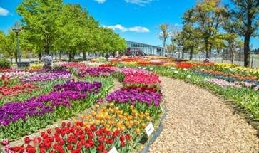 彩りガーデンと四季彩館