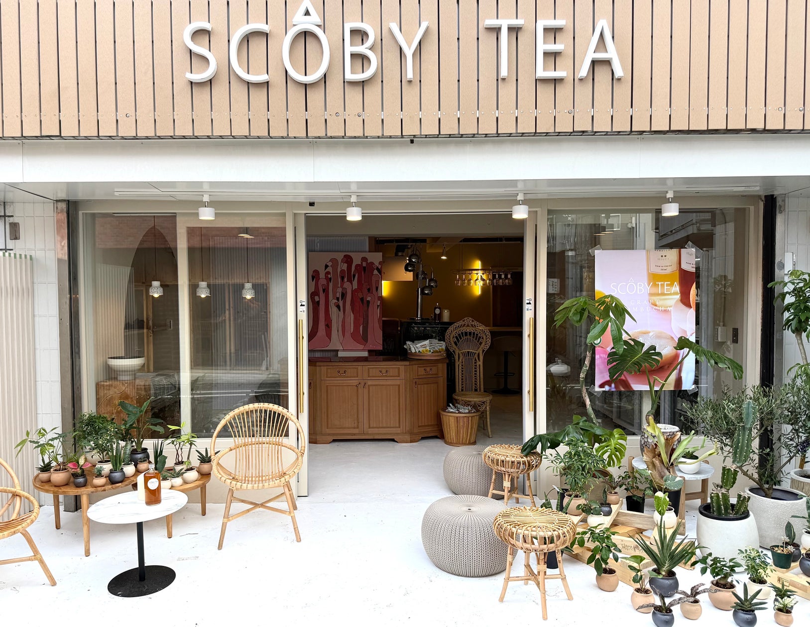 Soby Tea 7月5日(土) 新たな発酵の体験の場が誕生!「クラフトコンブチャ SCOBY TEA」 フラッグシップストアが世田谷・駒沢にニューオープン ...