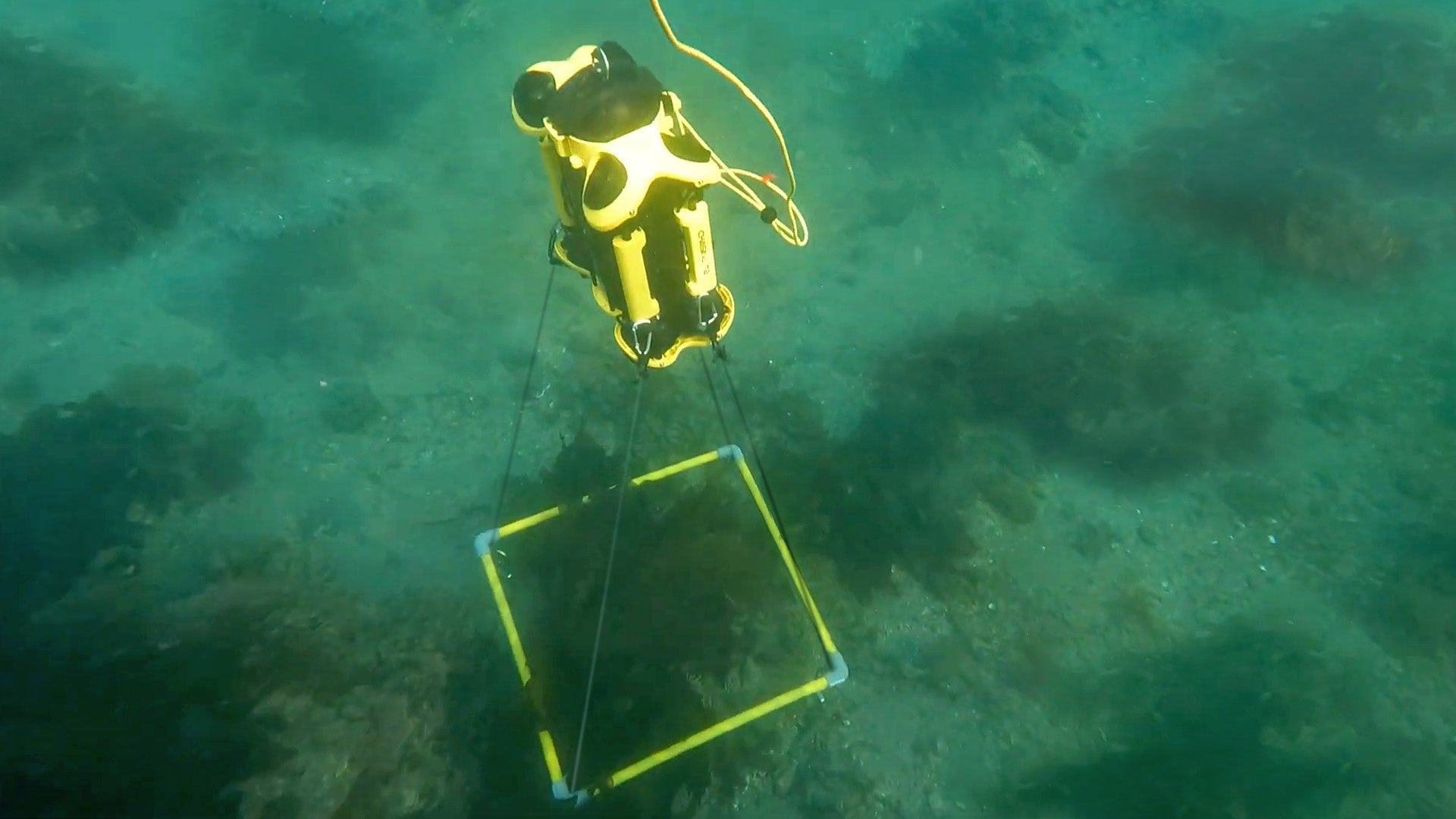 BlueArch、ブル―カーボン調査の効率化を実現する、水中ドローンを活用した海藻被度の簡易測定技術を開発し特許を取得 | 一般社団法人BlueArchのプレスリリース