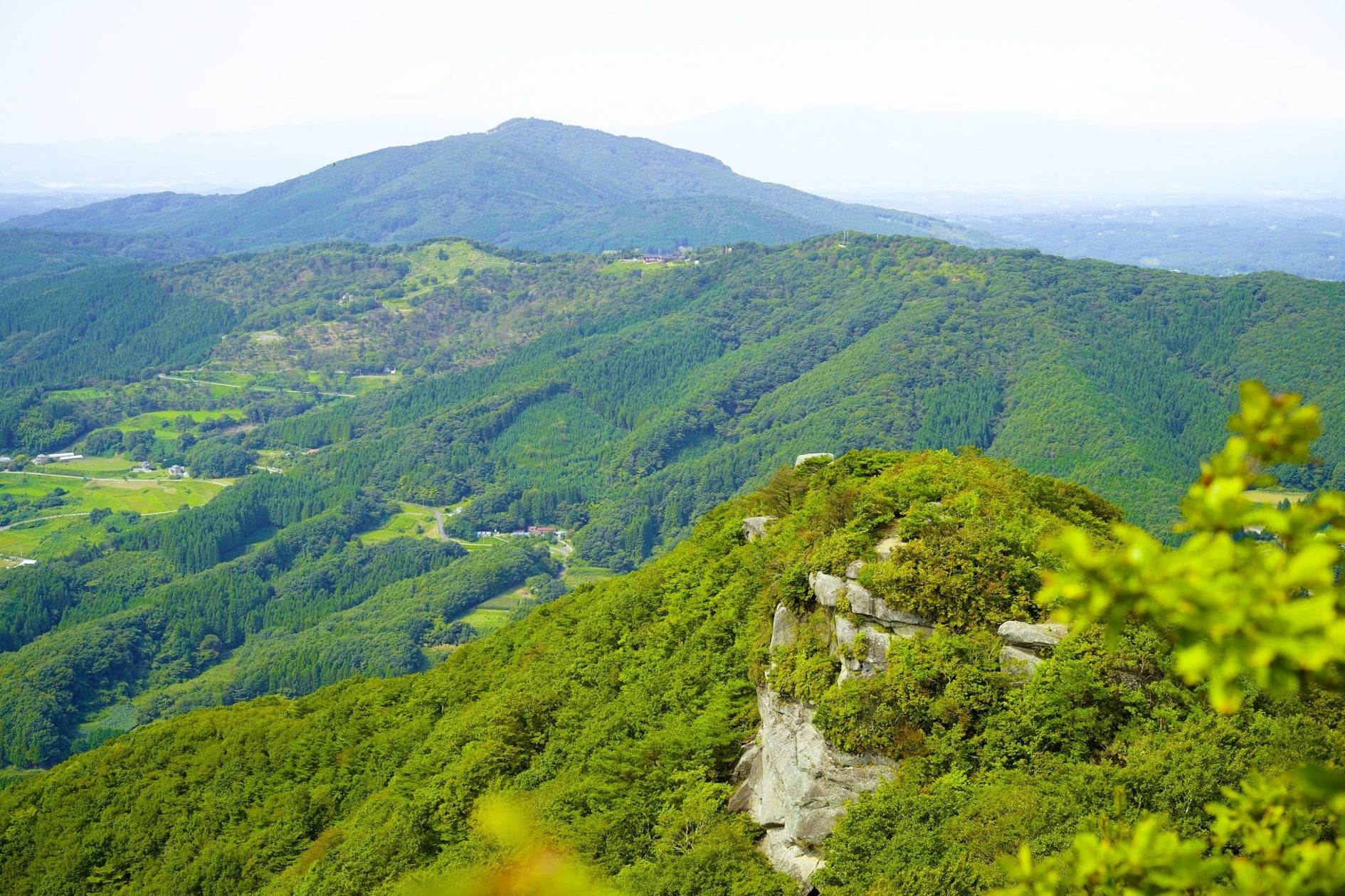 福島県「地域復興実用化開発等促進事業費補助金」に採択 | 株式会社manisoniasのプレスリリース