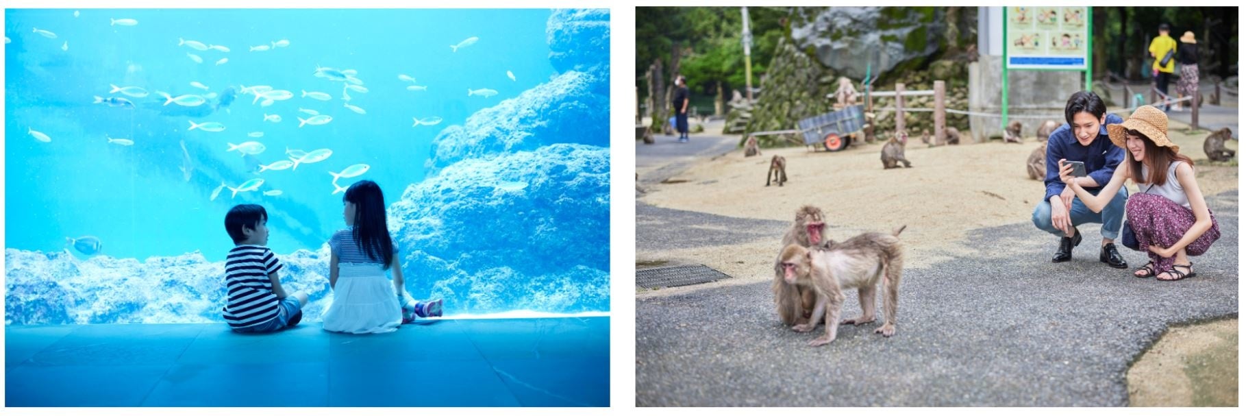 アソビュー 調査リリース 22年夏 遊びのランキング大発表 お出かけしたいのは 水族館 動物園 テーマパーク やりたい遊び体験は ものづくり 体験 登山 トレッキング アソビュー株式会社のプレスリリース