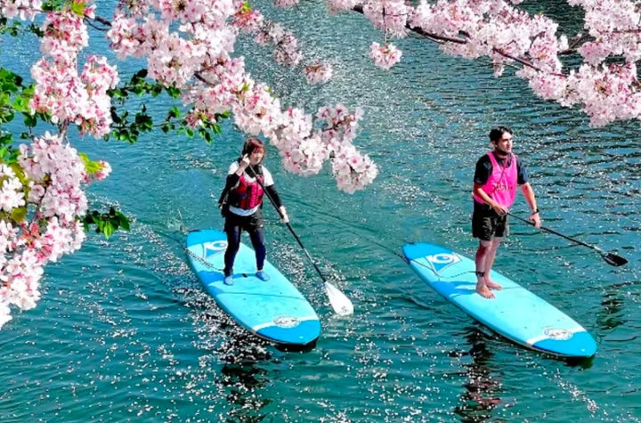 【桜満開】特選体験!桜を楽しむならここ!体験別施設紹介 【桜満開】特選体験!桜を楽しむならここ!体験別施設紹介