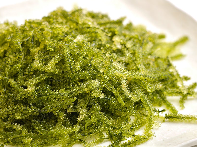 南城市より仕⼊れた海ぶどう