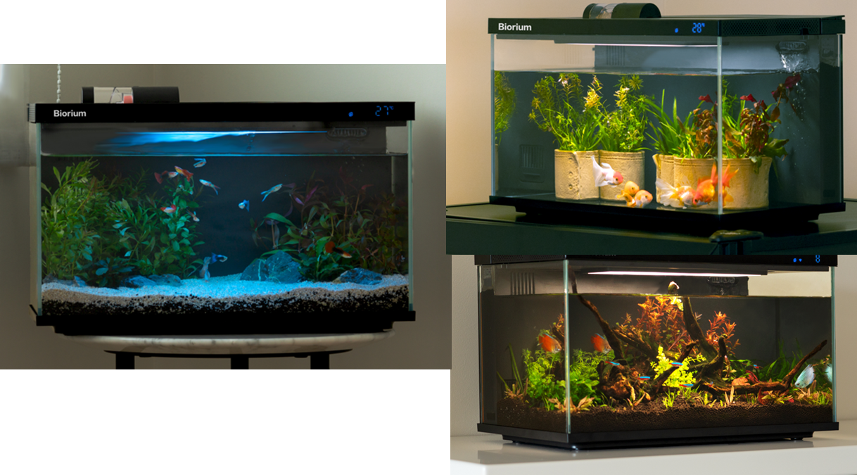 2023年度中国で大ヒット商品、水温も餌やりもスマホ一つで管理 一体型