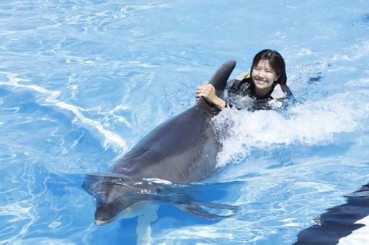 【南知多ビーチランド】昨年大反響の“イルカと夢の水中遊泳”が今年も実現!「イルカと泳ごう!」を開催日数を拡大して開催<愛知> 【南知多ビーチランド】昨年大反響の“イルカと夢の水中遊泳”が今年も実現!「イルカと泳ごう!」を開催日数を拡大して開催<愛知>