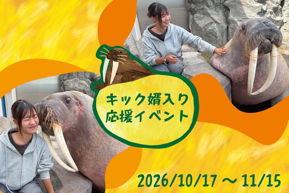 富士急ハイランド「サンエックス パラダイス」に屋内型ウォークスルーアトラクションが新登場 「San-X Paradise Secret Party!」2026年11月14日(土)オープン決定!