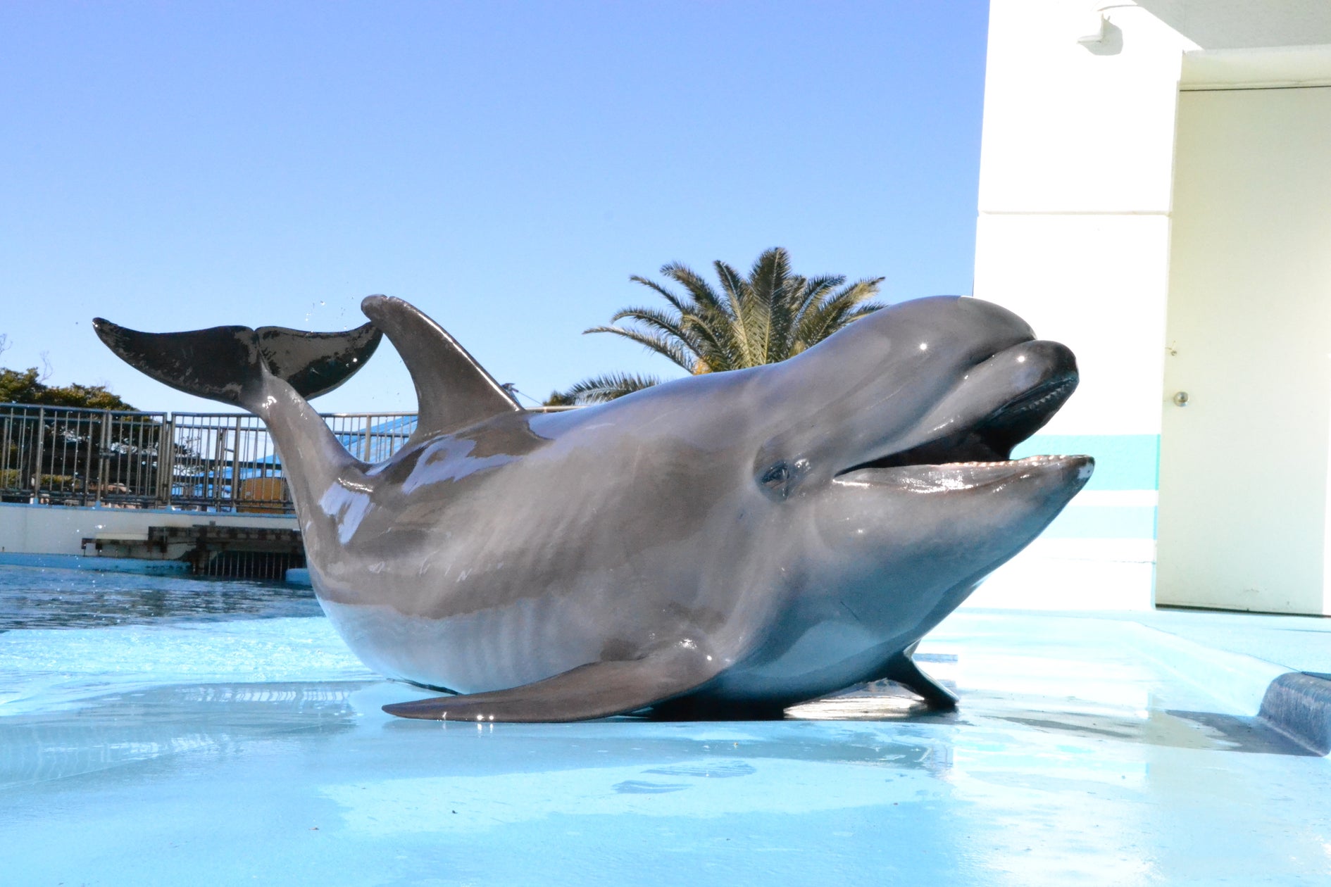 ハッピーバースデープリン!バースデーショー