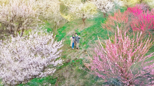 【限定6組】夜はライトアップ、朝はドローン空撮。日本三名園「偕楽園」で二つの絶景を独占する、「水戸の梅まつり特別宿泊プラン」を販売開始 【限定6組】夜はライトアップ、朝はドローン空撮。日本三名園「偕楽園」で二つの絶景を独占する、「水戸の梅まつり特別宿泊プラン」を販売開始