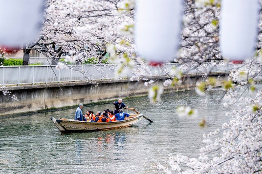 水辺の桜に大接近 【取材用の臨時便運行】 第22回 お江戸深川さくらまつり 和船、動力船、カヌーで味わう江戸風情 3月20日(金・祝)より「水上花見」開催 水辺の桜に大接近 【取材用の臨時便運行】 第22回 お江戸深川さくらまつり 和船、動力船、カヌーで味わう江戸風情 3月20日(金・祝)より「水上花見」開催