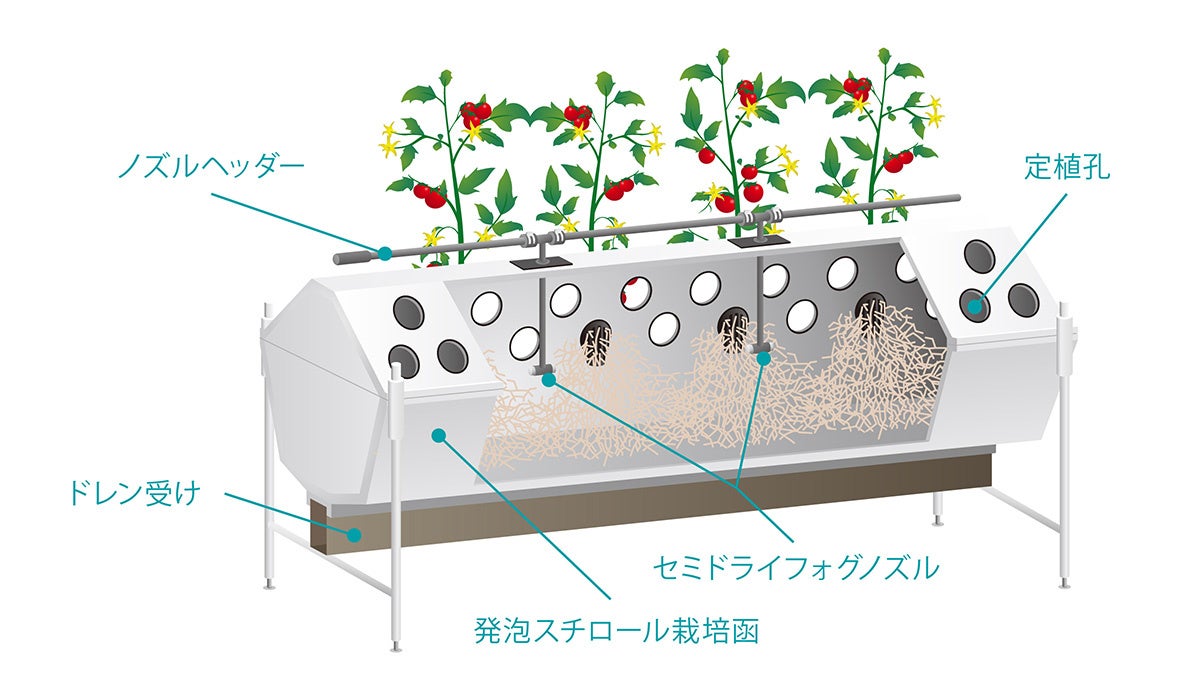 IKEUCHIPonicsの栽培函。植物は中空で懸垂状態のまま成長する。